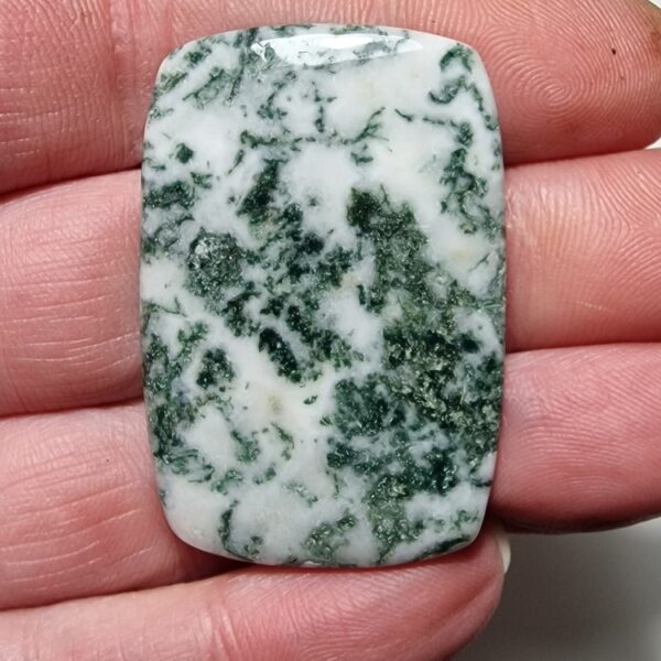 46x31mm green tree agate cabochon