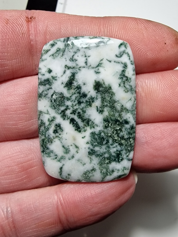 46x31mm green tree agate cabochon