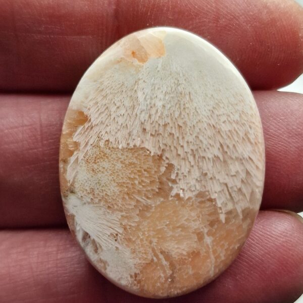 Scolecite