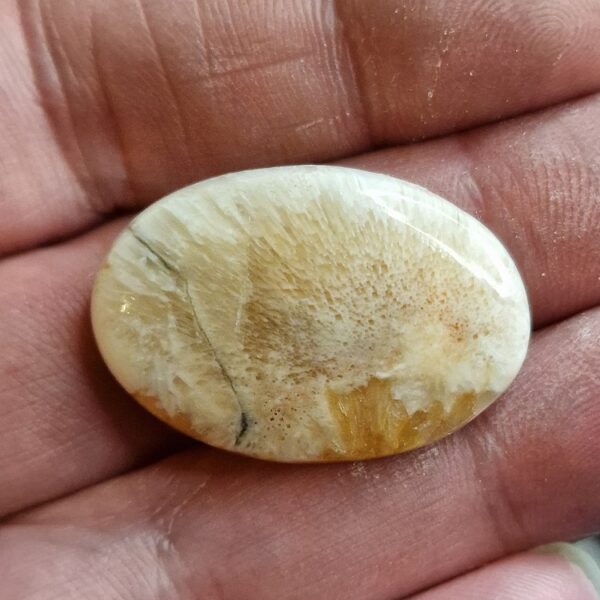 33x23mm scolecite cabochon