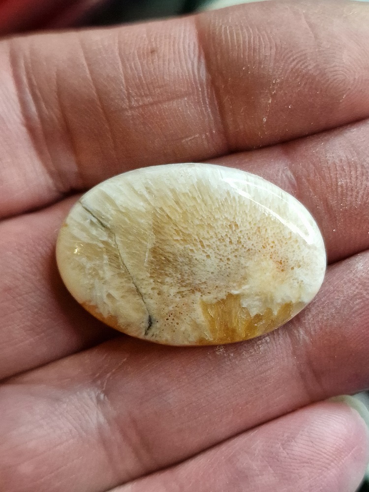 33x23mm scolecite cabochon