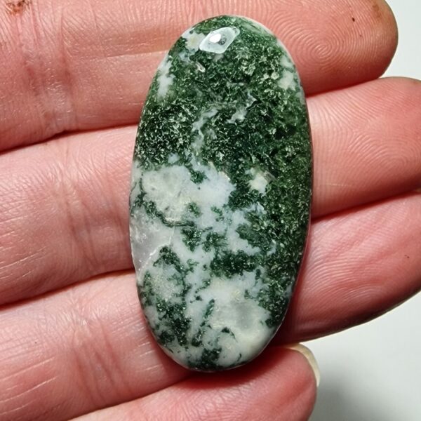 46x23mm green tree agate cabochon