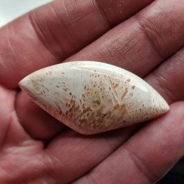 50x25mm scolecite cabochon