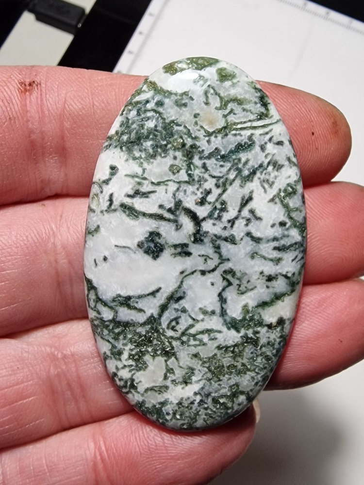 55x33mm green tree agate cabochon
