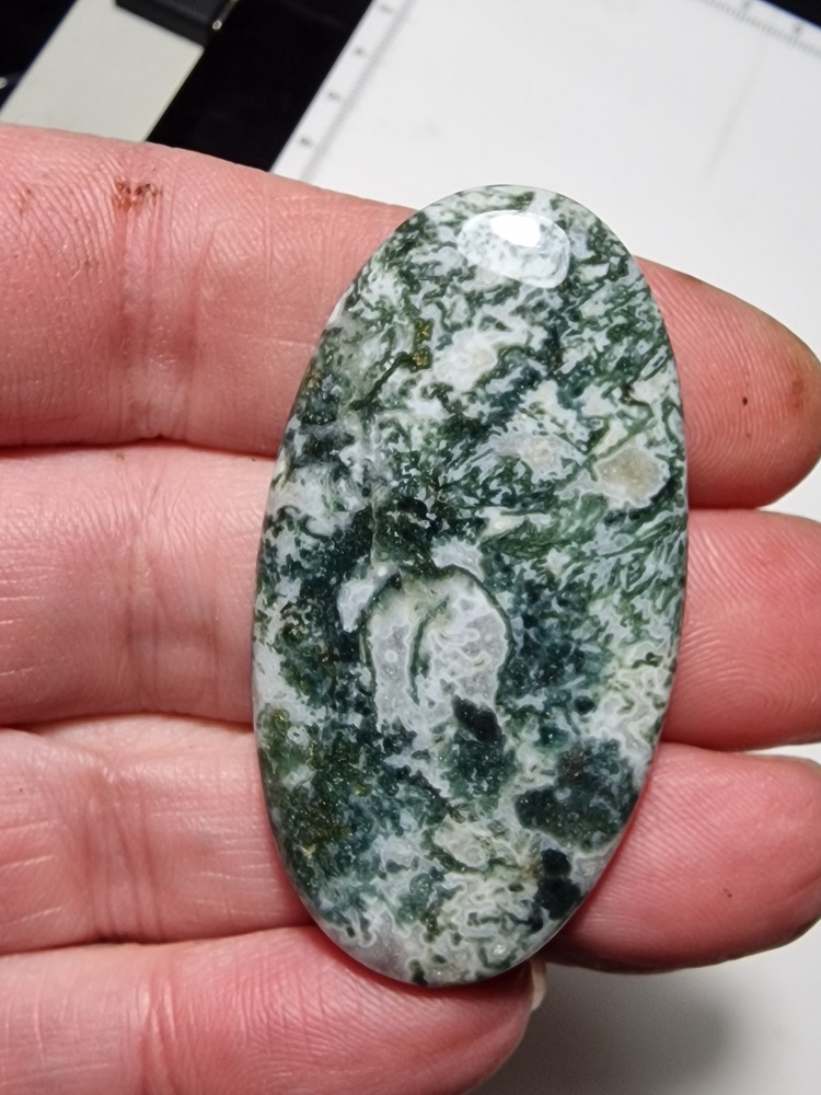 53x28mm green tree agate cabochon