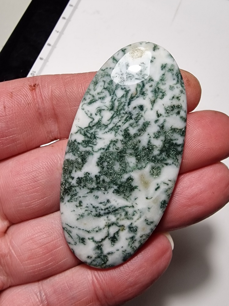 67x34mm green tree agate cabochon