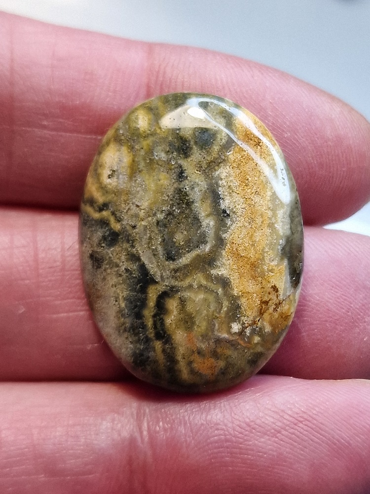 30x22mm Ocean jasper cabochon