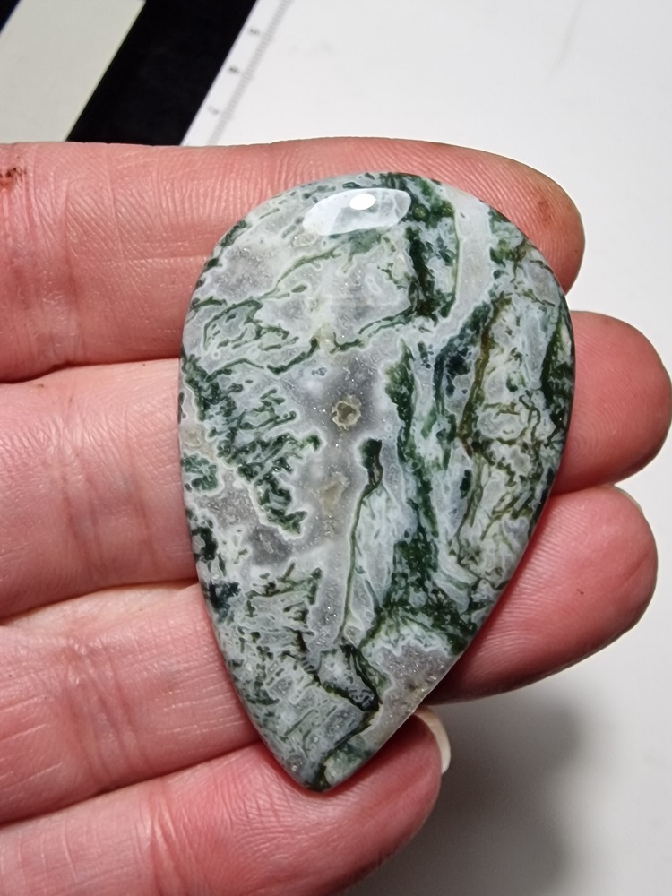 54x34mm green tree agate cabochon