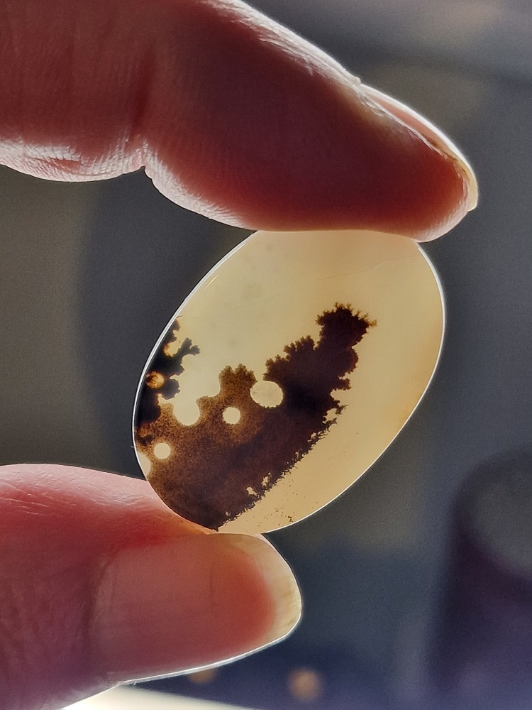 30x21mm moss agate picture slice/cabochon