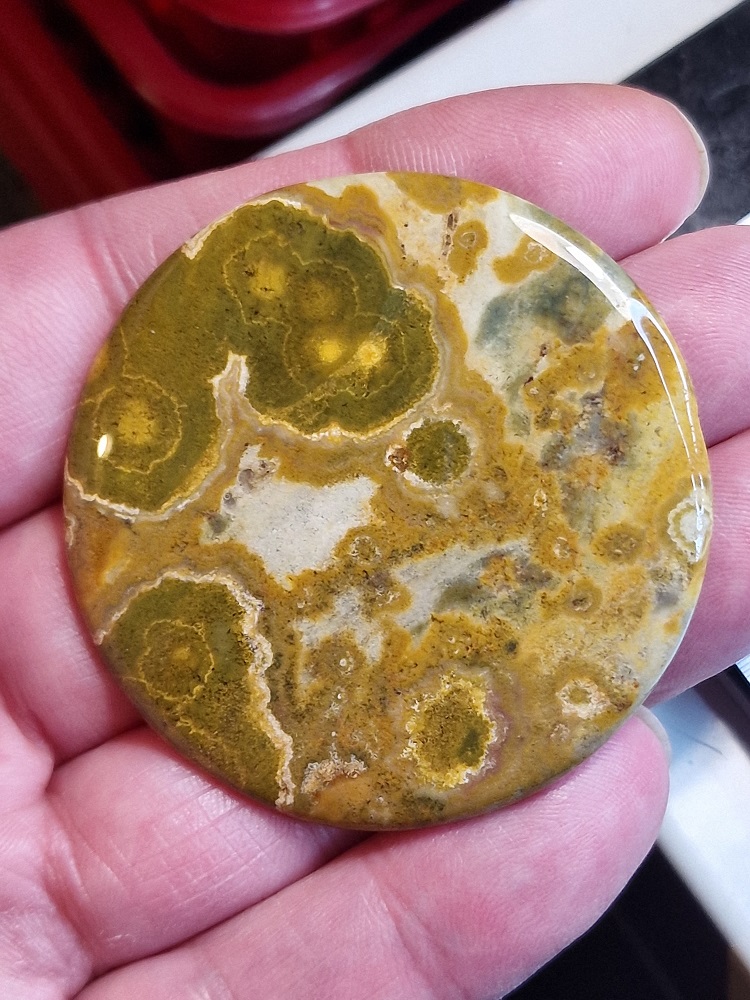 53mm round Ocean jasper cabochon