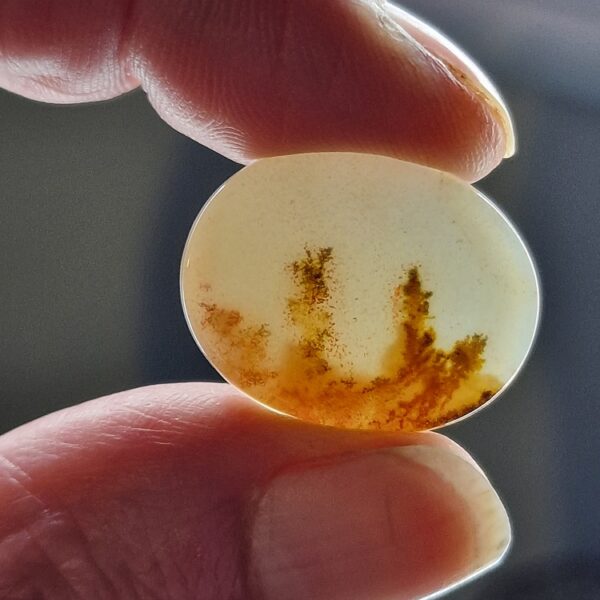 26x20mm moss agate picture slice/cabochon