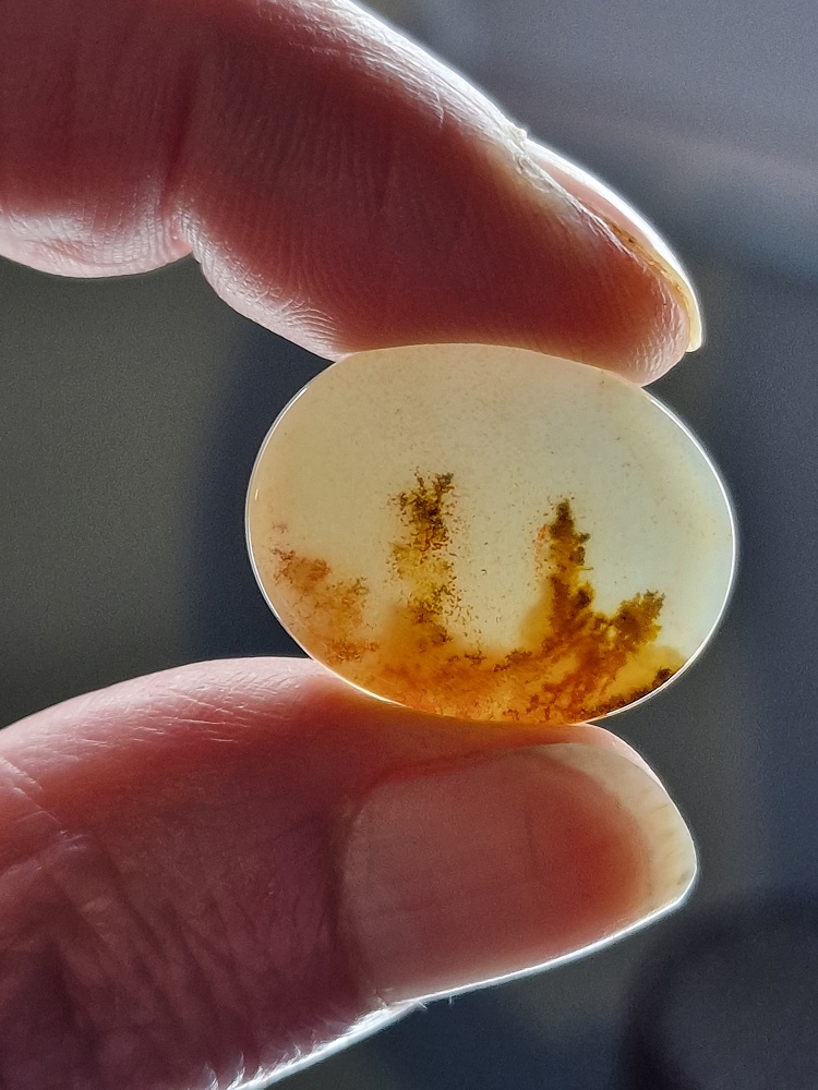 26x20mm moss agate picture slice/cabochon