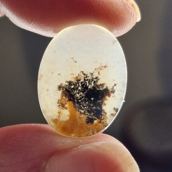 23x17mm moss agate picture slice/cabochon