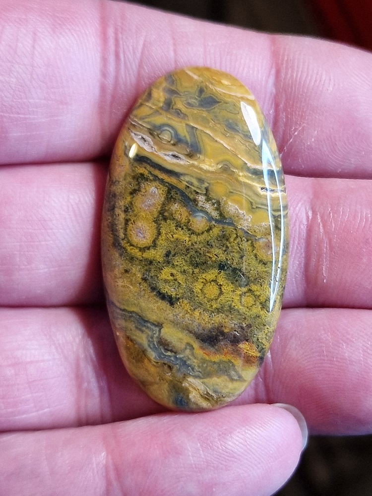 45x25mm Ocean jasper cabochon