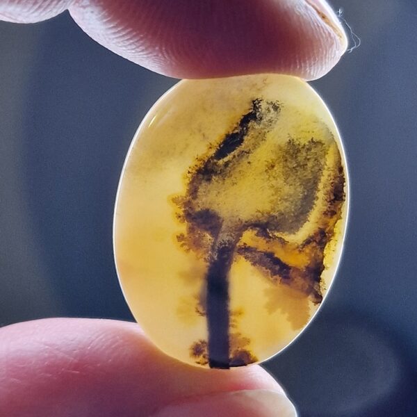 31x22mm moss agate picture slice/cabochon