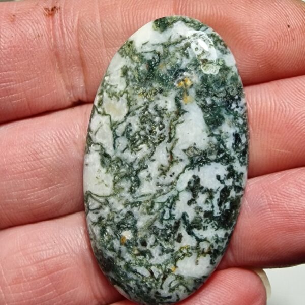 51x28mm green tree agate cabochon