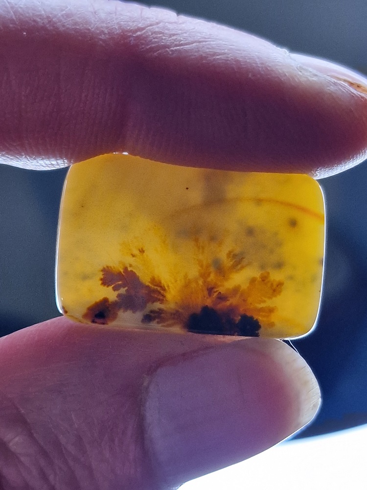 27x17mm moss agate picture slice/cabochon