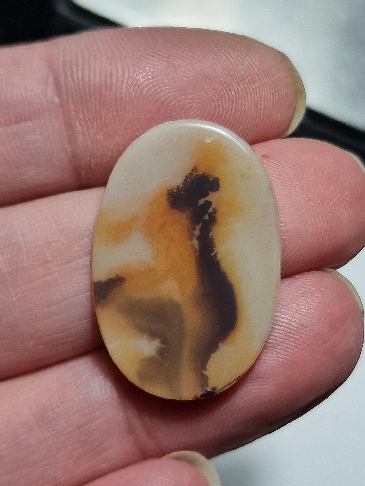 31x21mm moss agate picture slice/cabochon