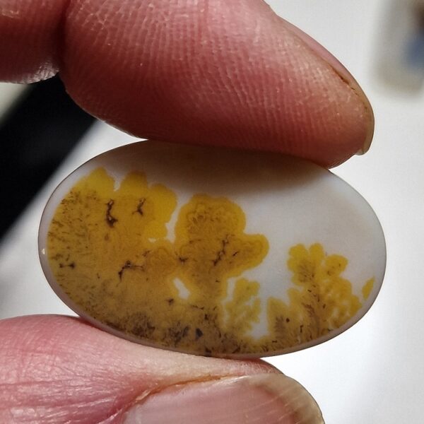 29x19mm moss agate picture slice/cabochon