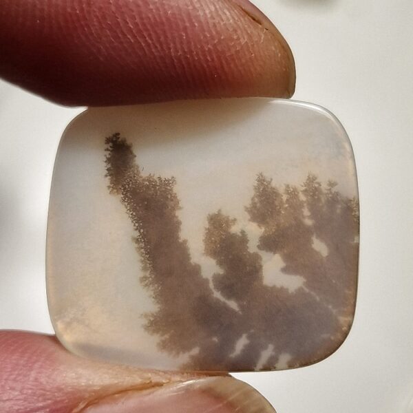 26x23mm moss agate picture slice/cabochon