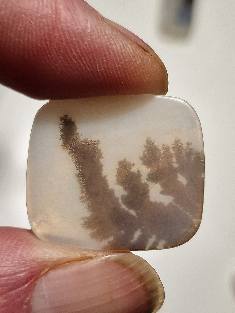 26x23mm moss agate picture slice/cabochon