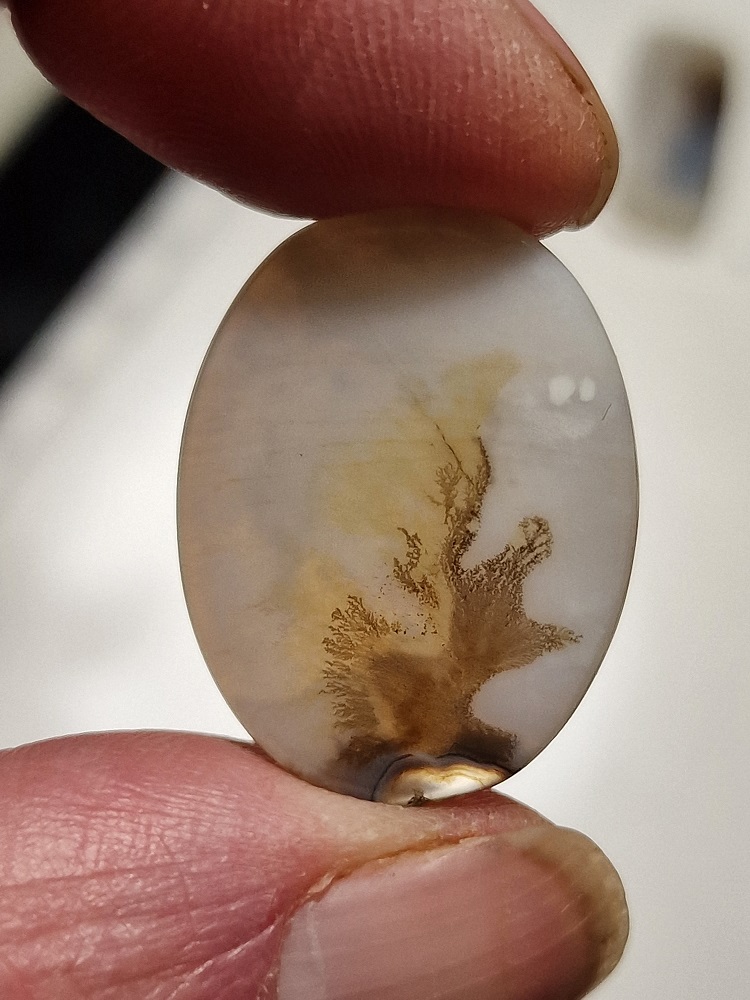 27x20mm moss agate picture slice/cabochon