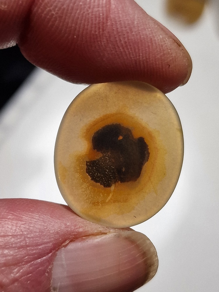 24x20mm moss agate picture slice/cabochon