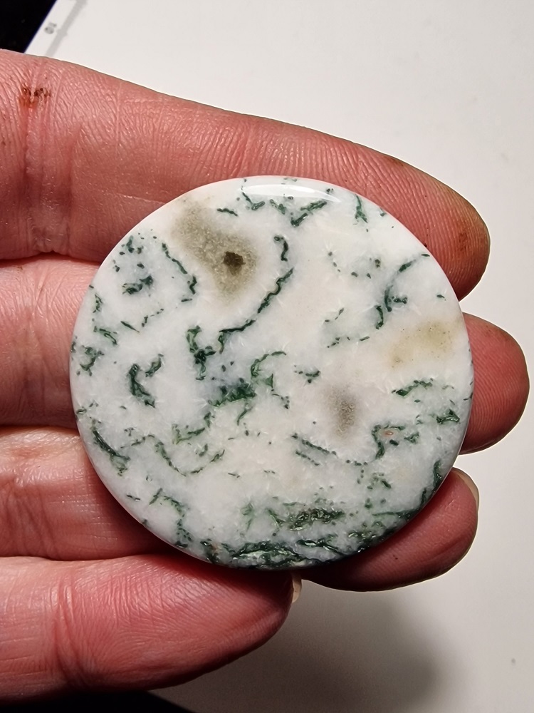 42mm round green tree agate cabochon