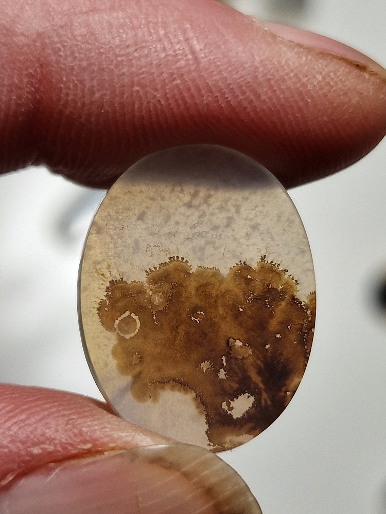 23x18mm moss agate picture slice/cabochon