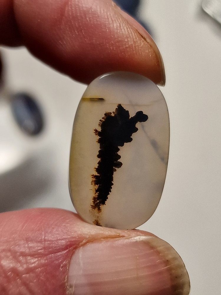 27x16mm moss agate picture slice/cabochon