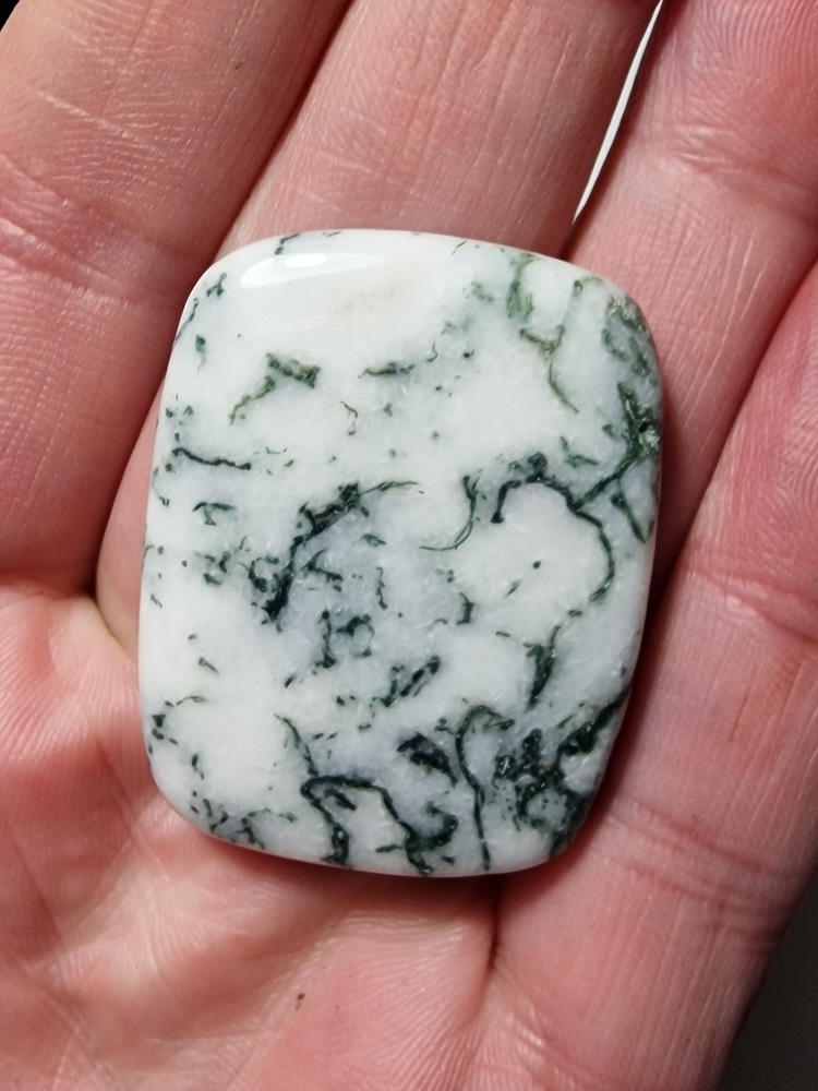 40x31mm green tree agate cabochon