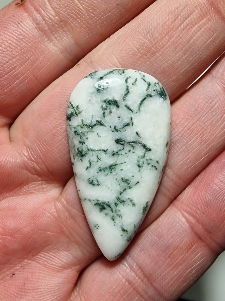 40x23mm green tree agate cabochon
