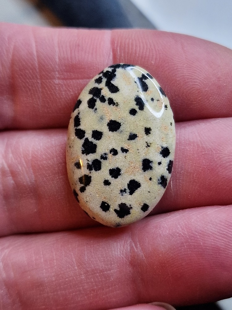 29x19mm dalmation jasper cabochon