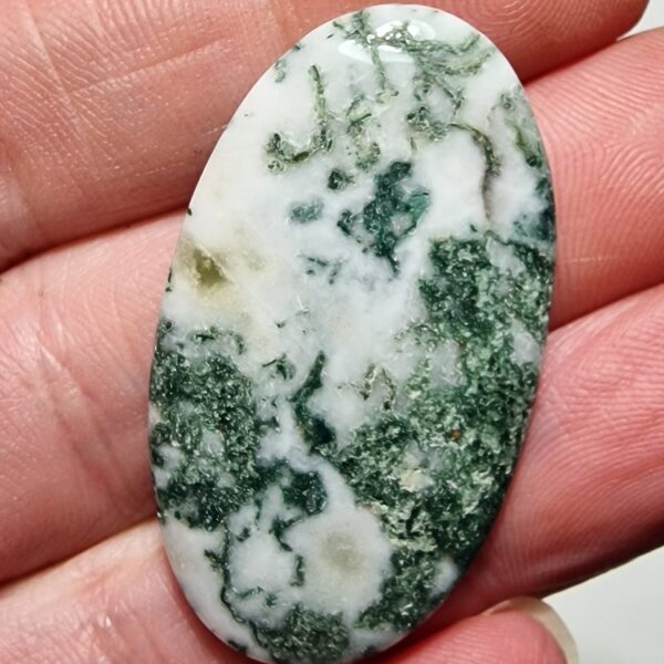 44x24mm green tree agate cabochon