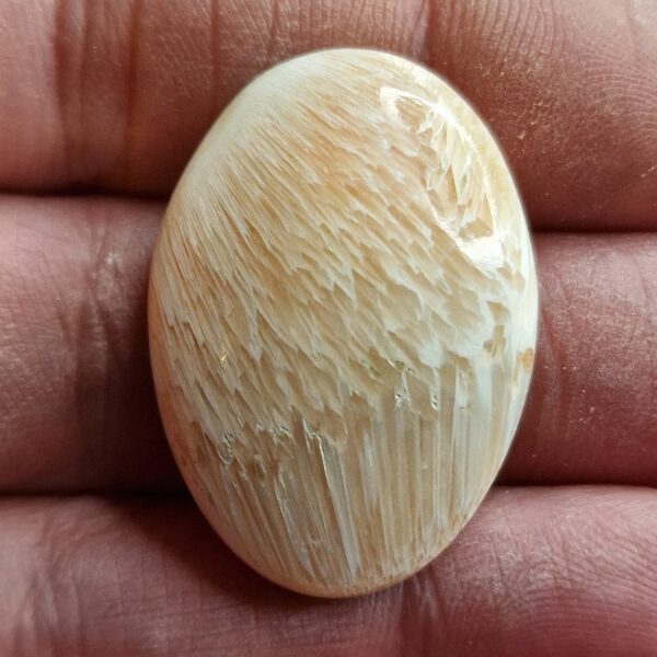 35x25mm scolecite cabochon