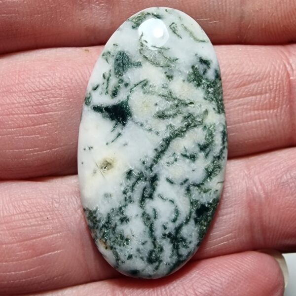 39x21mm green tree agate cabochon
