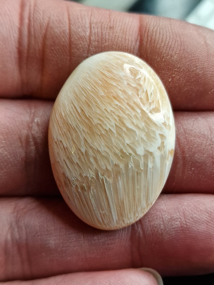 35x25mm scolecite cabochon