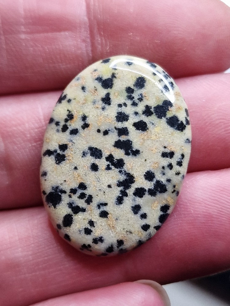 32x23mm dalmation jasper cabochon