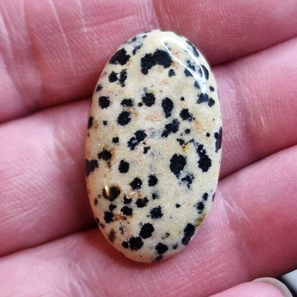 34x19mm dalmation jasper cabochon