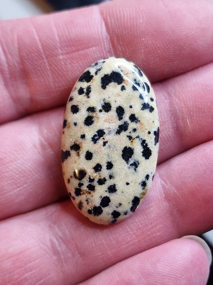 34x19mm dalmation jasper cabochon