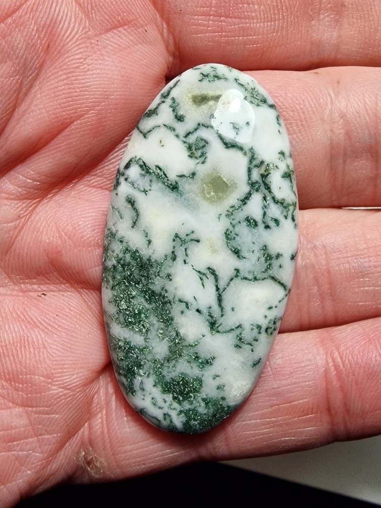 49x25mm green tree agate cabochon