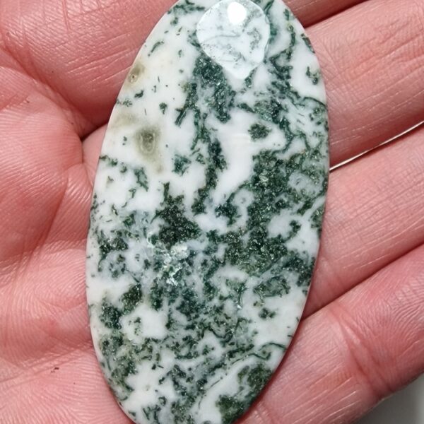 63x30mm green tree agate cabochon