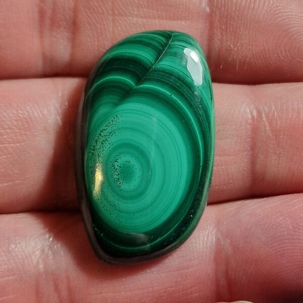 34x19mm Malachite cabochon