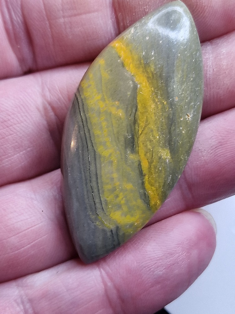 54x24mm bumblebee jasper cabochon