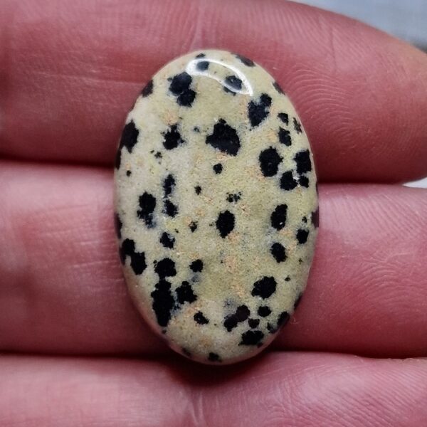 30x20mm dalmation jasper cabochon