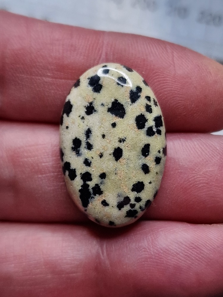 30x20mm dalmation jasper cabochon
