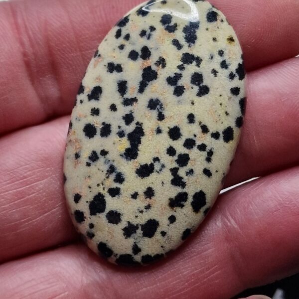 46x28mm dalmation jasper cabochon