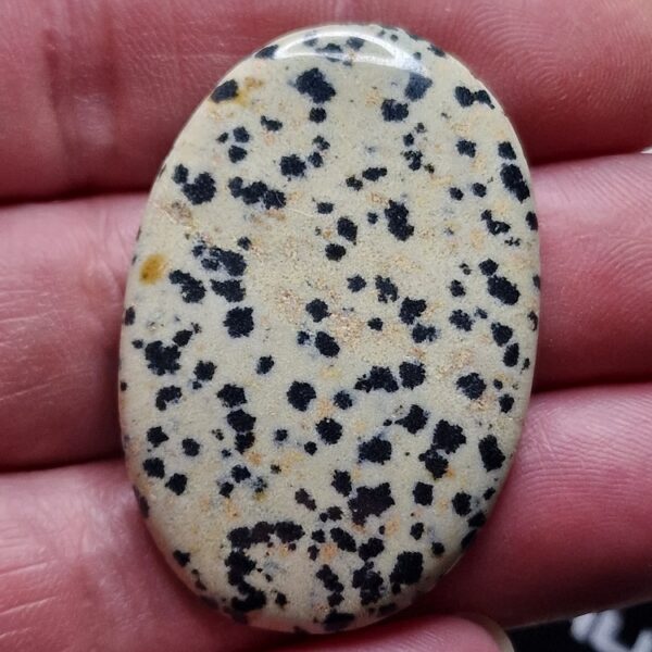 45x29mm dalmation jasper cabochon