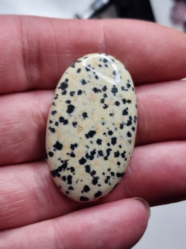 40x25mm dalmation jasper cabochon