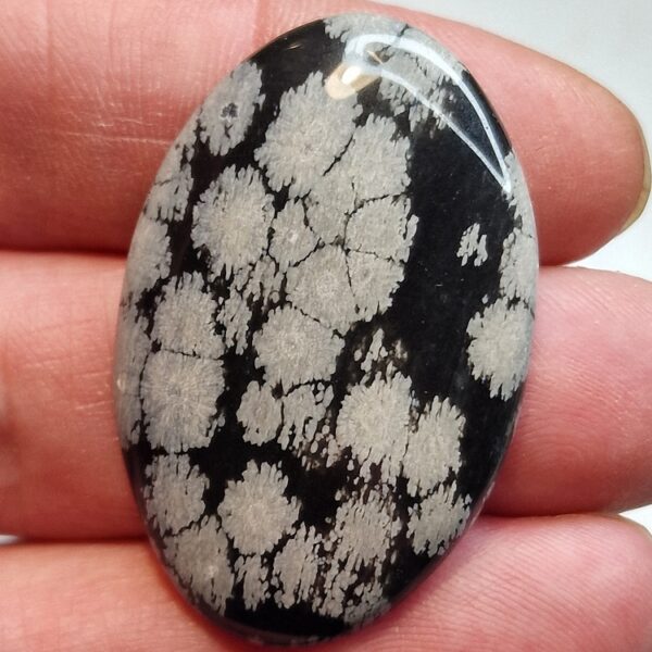 42x27mm snowflake obsidian cabochon